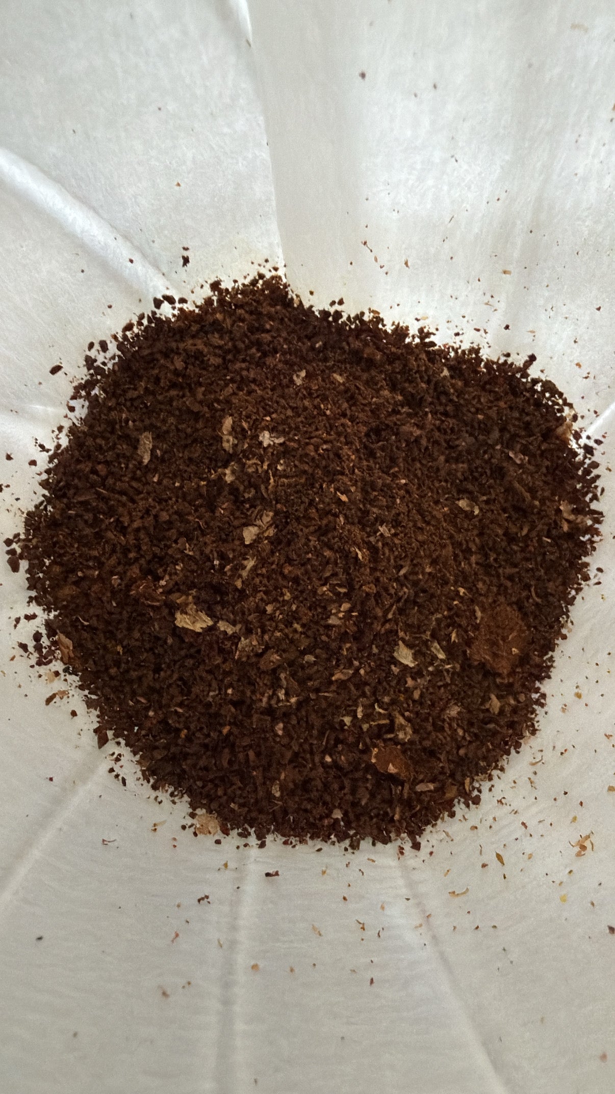 Sample Coffee box بوكس التجربة